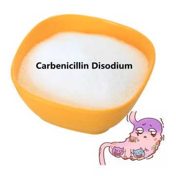 Buy online carbenicillin disodium powder msds for sale