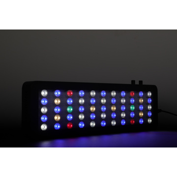 100W LED Grow Light Aquarium untuk Tumbuhan Shenzhen