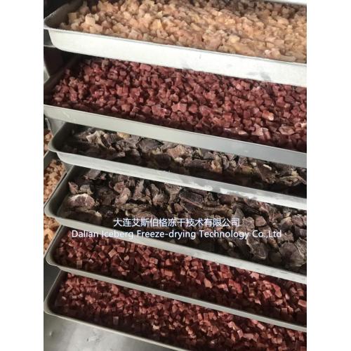 Meat Vacuum Freeze-drying machine