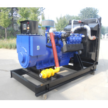 Germany quality exceed your imagination of 300KW Deutz gas generator
