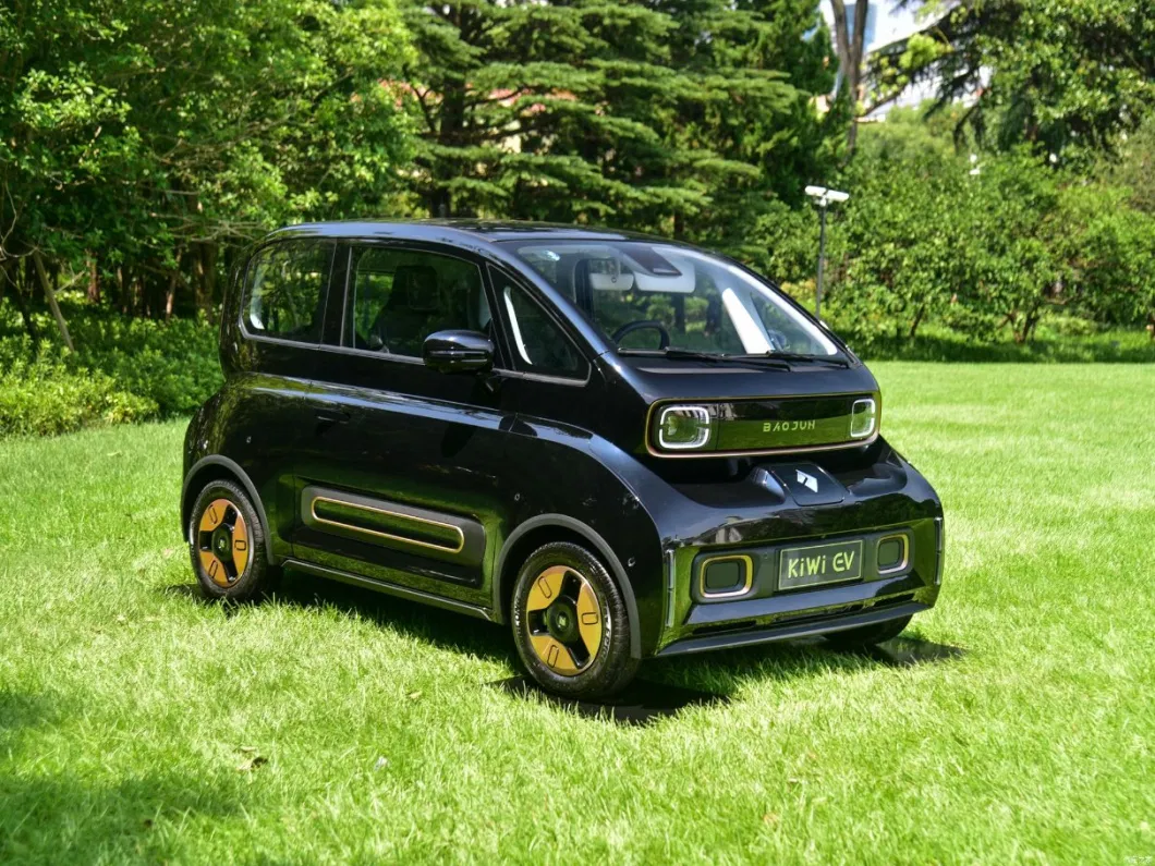Fully Enclosed for Sale New Wuling Baojun Kiwi EV 2023 New Electric Car