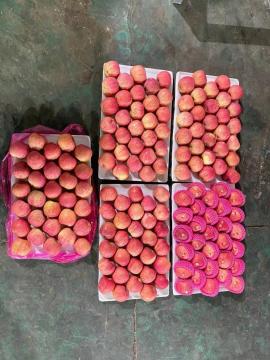 Premium Quality Paper Bagged FUJI Apple