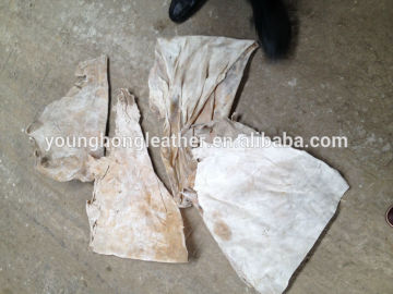 Dry Limed Cow Hide Split(Second Layer) Trimmings For Gelatin/Glue Raw Materia