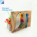 Ziplock gedroogd fruit plastic verpakkingstas