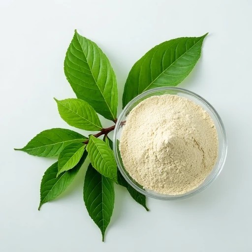 Stevia Polyphenol (3) Stevia polyphenol (3)