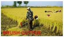 Brush Cutter with EPA / DOT CE Approval (TP-CG260A)