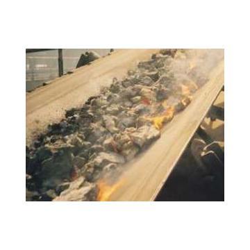 High temperature resistant Conveyor Belting