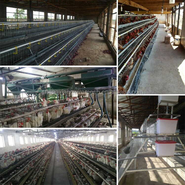 High  Quality Hot sell Easy Clean Rabbit Cage(Factory)