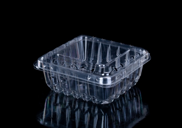 Clamshell Packaging Blueberry Container