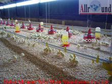 Feeding Pad For Young Chicken  