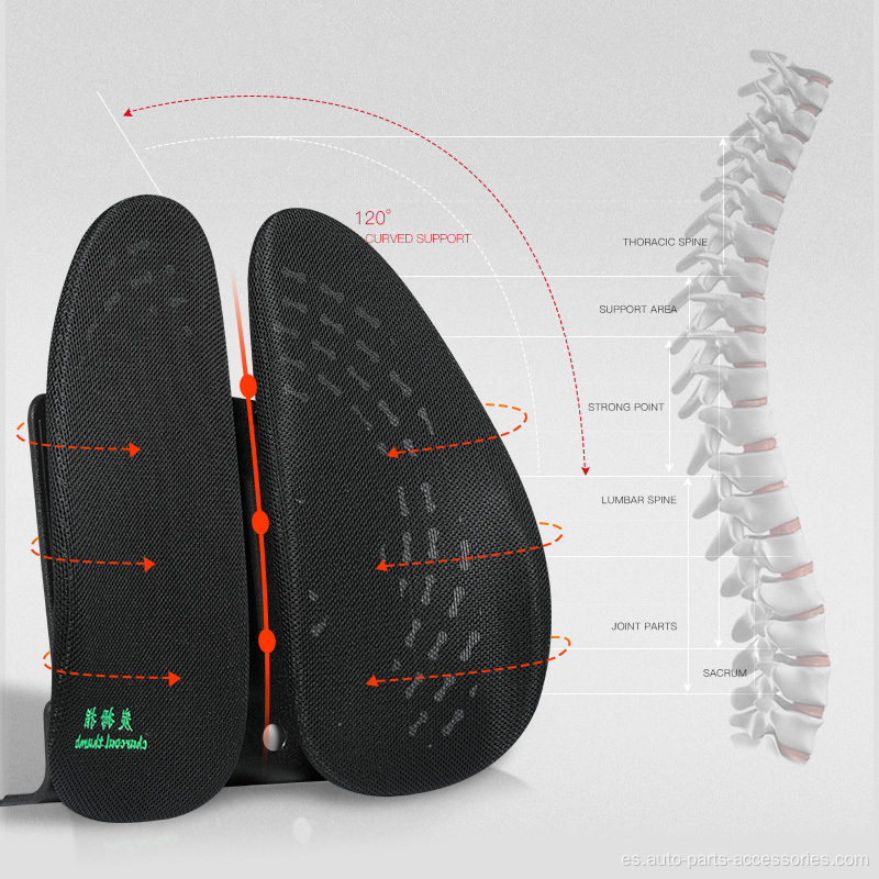 Cómodo cojín de cojín de soporte lumbar y almohada