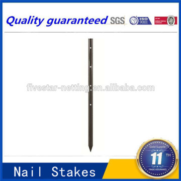 Building Concrete Stakes with Holes Nail Stakes