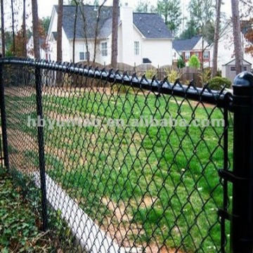chain link fence road greenbelt