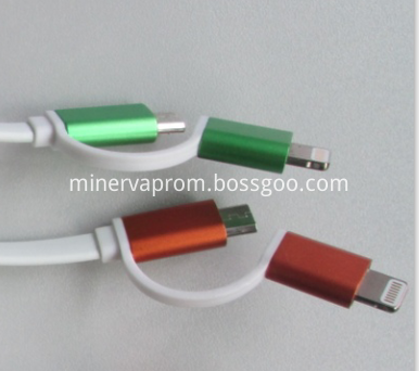 apple cord & micro usb key