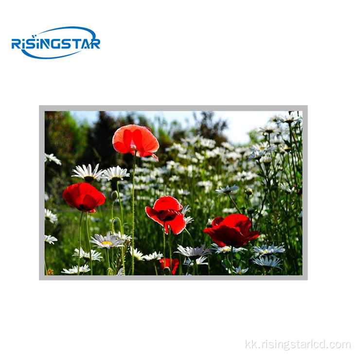 15.6 дюйм 1000Nit Outdoor LCD дисплейі