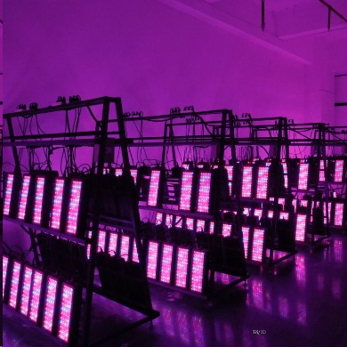 600W LED Grow Light