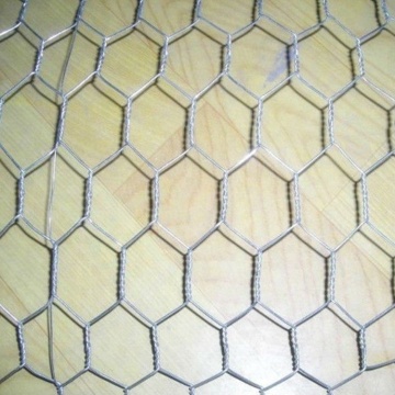 hot dipped galvanized hexagonal wire mesh/chicken wire