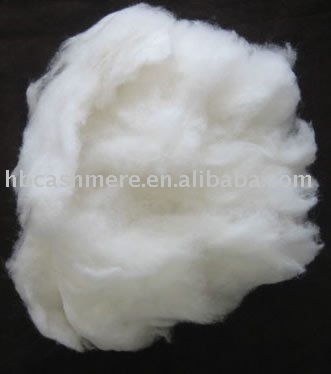 white cashmere fibers