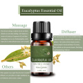 Ventas en caliente Pure Natural Plant Eucalyptus Essential Oil