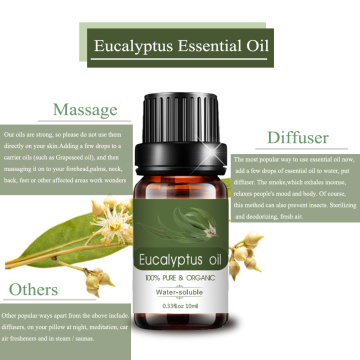 Hot Sales Pure Natural Plant Eucalyptus Essential Oil