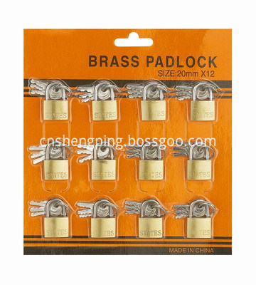 Unity Programer Skin Card Brass Padlock