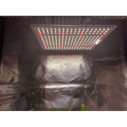 LED Grow Light Board Spectrum