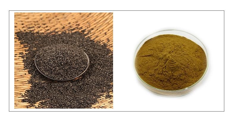 Tuber Onion Seed Extract00 Tuber Onion Seed Extract00