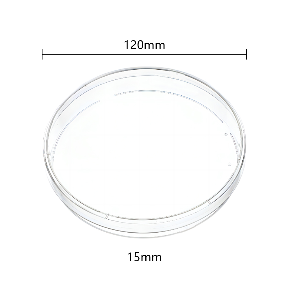 滅菌丸いペトリ皿120x15 mm、4つの通気口