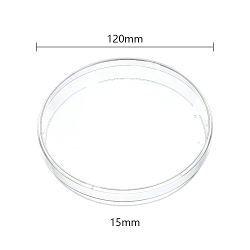 Piatto di Petri rotondo sterile 120x15 mm, 4 prese d'aria