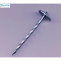 ISO9001 Factory Supply Galvanized Umbrella Head Roofing Nails