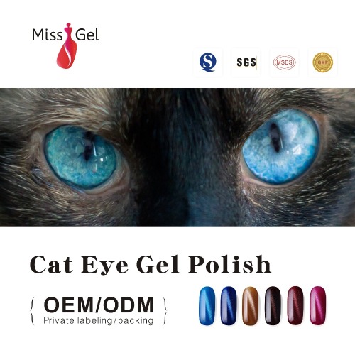 uv gel polish hot selling cat eye color gel nail polish