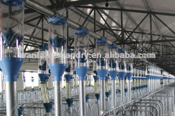 Wanfa automatic used pig feeder equipment for sale