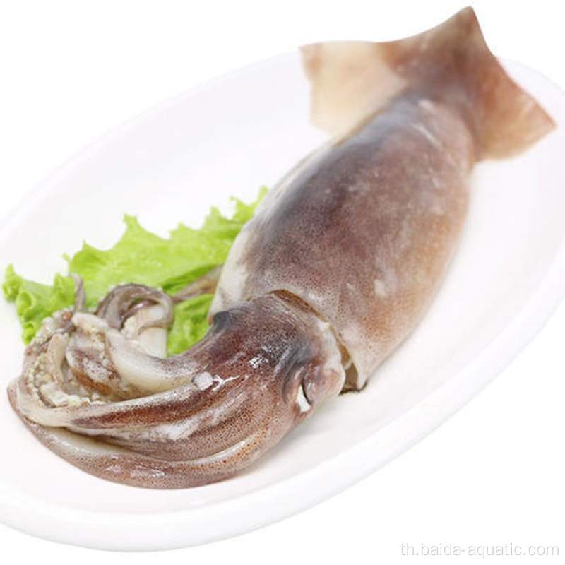 หัวปลาหมึก illex น้ำหนักสุทธิ 100%