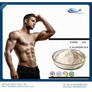 supply best Raw Powder S23 with 99% Purity