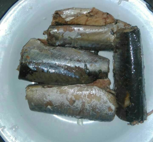 425g Canned Food Mackerel Fish in Oil