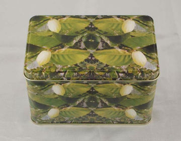 Rectangular Tea Tin Box For Tea Packaging