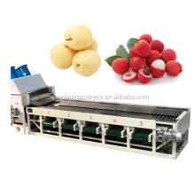Passion Fruit and Mixed Fruit Sorting Machine