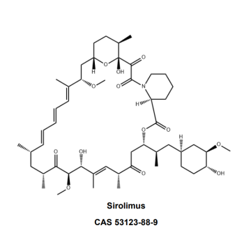 Sirolimus API CAS No.53123-88-9