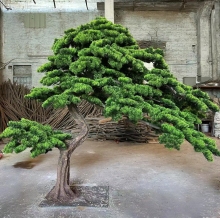 Customize Artificial Pine and Cedar Trees for Indoor/Outdoor Decoration