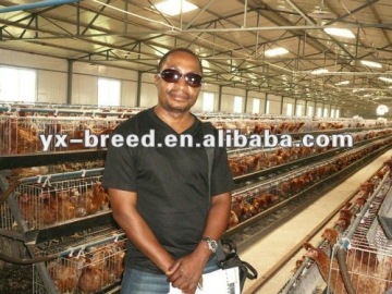 Specially designed used poultry cage