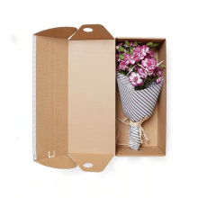 Hot Sale Foldable Corrugated Cardboard Packaging Boxes for Live Plant Shipping