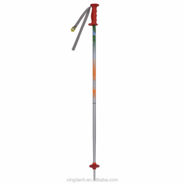 Professional 6061 Aluminum Ski Poles for Alpine Skiing
