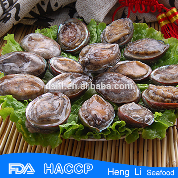 frozen abalone with shell