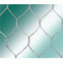 hexagonal wire mesh