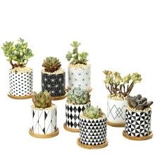 Ceramic Planter Pots with Drain Hole and Bamboo Tray for Cacti