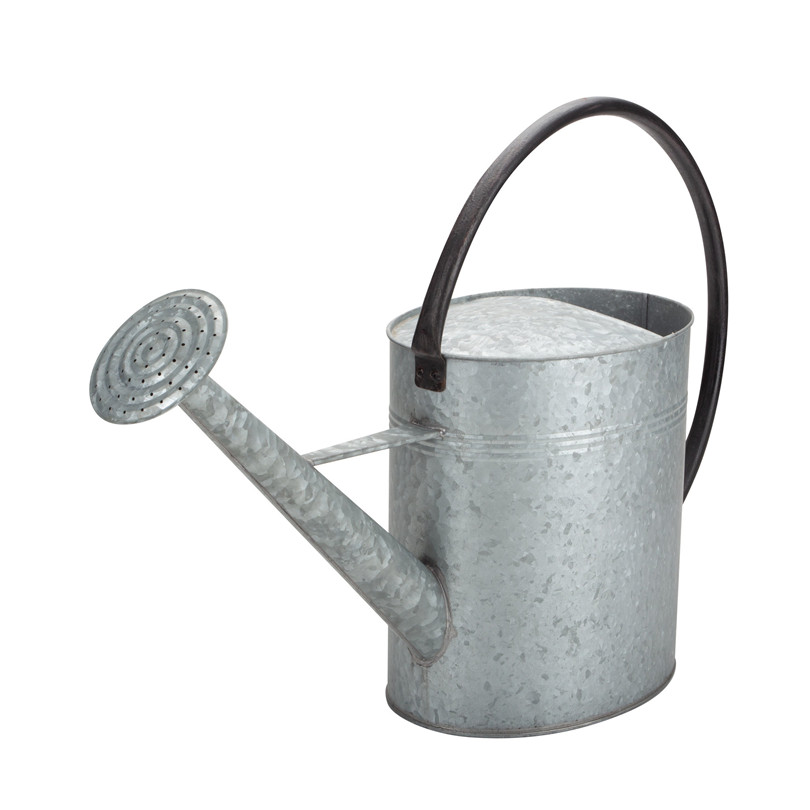 Regadera vintage galvanizada Galvanized Vintage Watering Can