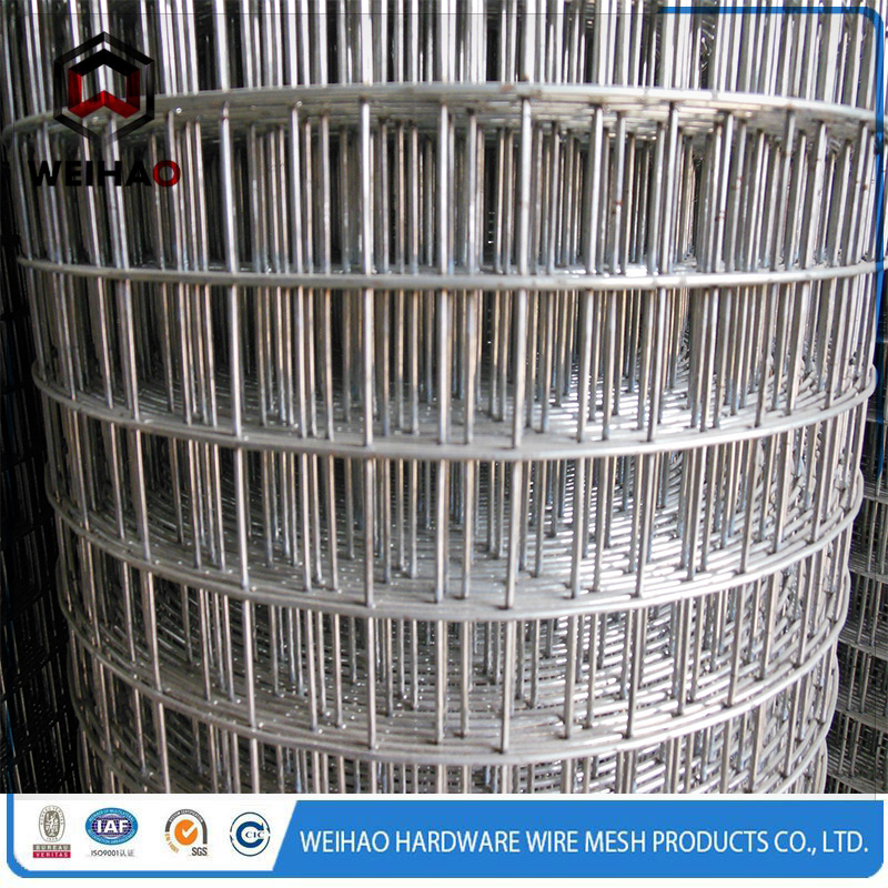 welded wire mesh 11