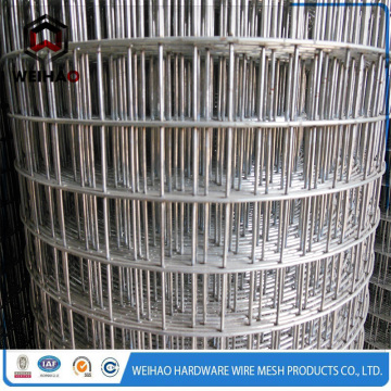 Hot-dipped galvanized wire mesh