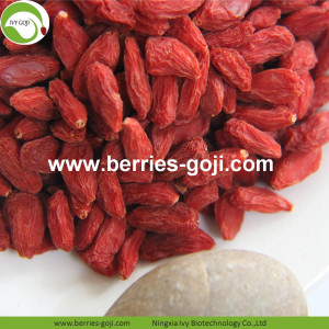 Koop Natural Fruit Anti Cancer Lycium Berries