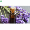 Suministro de fábrica 100% cosmético puro aceite esencial de lavanda